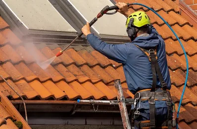 Démoussage et hydrofuge de toiture à Antran